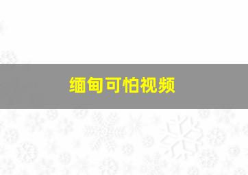 缅甸可怕视频