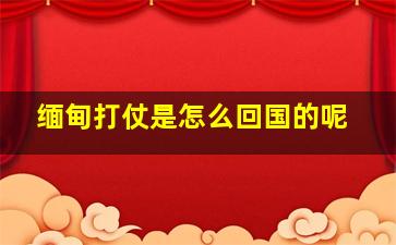 缅甸打仗是怎么回国的呢