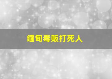 缅甸毒贩打死人