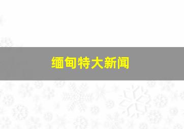 缅甸特大新闻