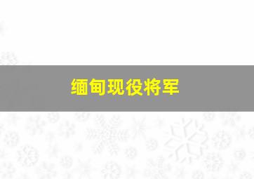 缅甸现役将军