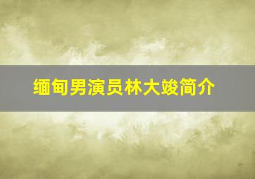 缅甸男演员林大竣简介