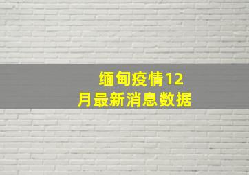 缅甸疫情12月最新消息数据