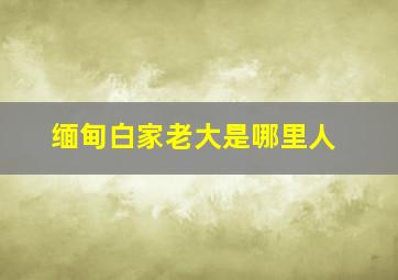 缅甸白家老大是哪里人