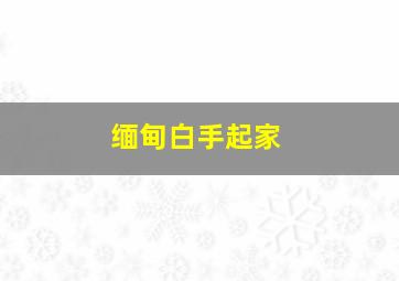 缅甸白手起家