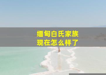 缅甸白氏家族现在怎么样了