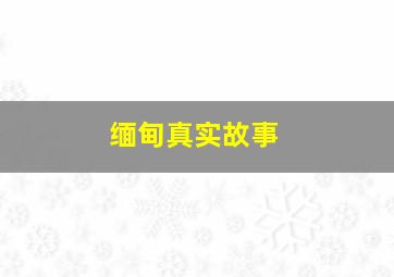 缅甸真实故事