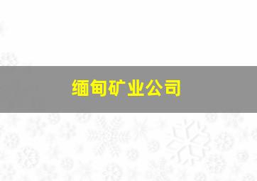 缅甸矿业公司