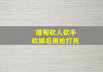 缅甸砍人砍手砍脚后用枪打死