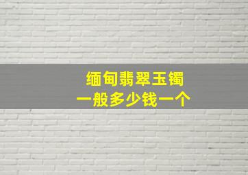 缅甸翡翠玉镯一般多少钱一个