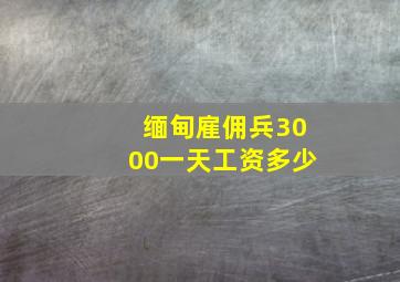 缅甸雇佣兵3000一天工资多少