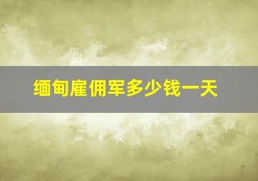 缅甸雇佣军多少钱一天