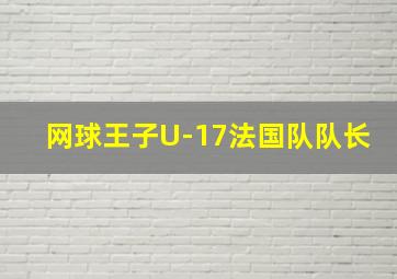 网球王子U-17法国队队长