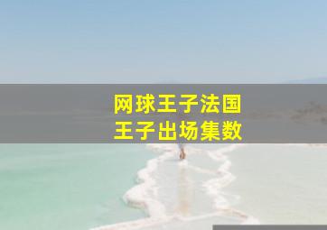 网球王子法国王子出场集数