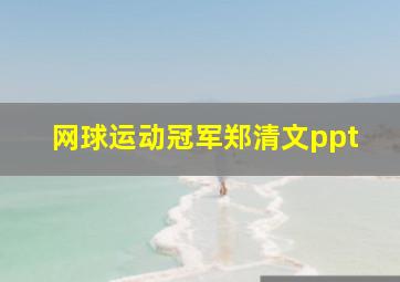 网球运动冠军郑清文ppt