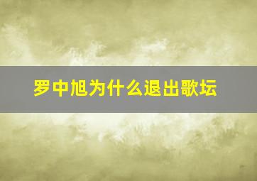 罗中旭为什么退出歌坛