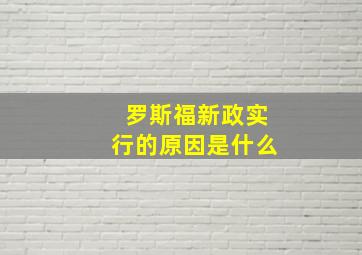 罗斯福新政实行的原因是什么