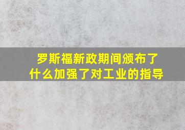 罗斯福新政期间颁布了什么加强了对工业的指导