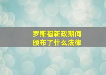 罗斯福新政期间颁布了什么法律