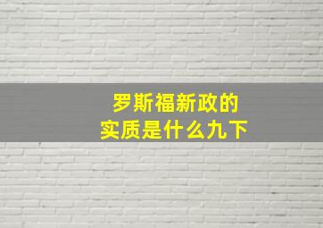 罗斯福新政的实质是什么九下