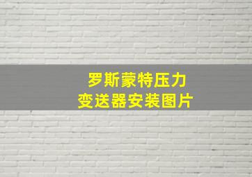 罗斯蒙特压力变送器安装图片