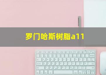 罗门哈斯树脂a11