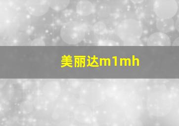 美丽达m1mh