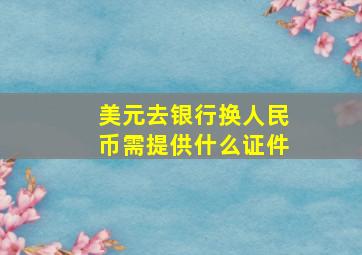 美元去银行换人民币需提供什么证件