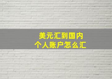 美元汇到国内个人账户怎么汇