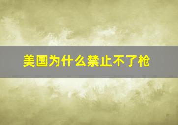 美国为什么禁止不了枪