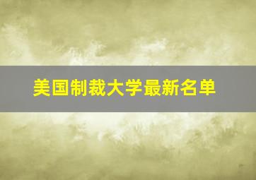 美国制裁大学最新名单