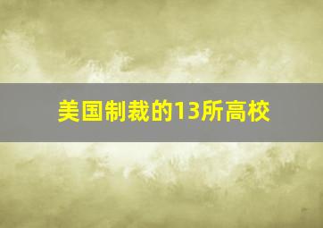 美国制裁的13所高校