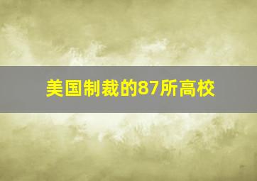 美国制裁的87所高校