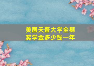 美国天普大学全额奖学金多少钱一年