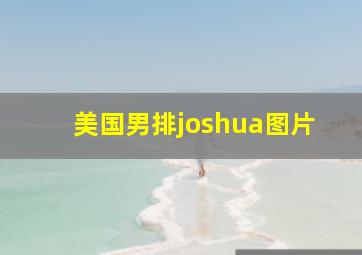 美国男排joshua图片