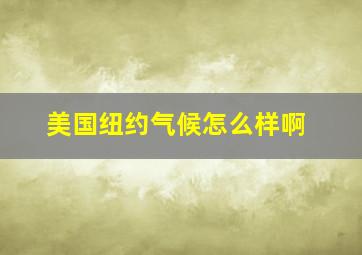 美国纽约气候怎么样啊