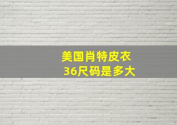 美国肖特皮衣36尺码是多大