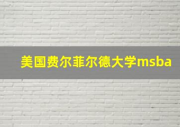 美国费尔菲尔德大学msba