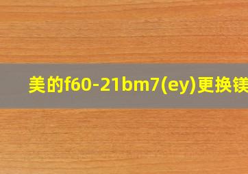 美的f60-21bm7(ey)更换镁棒