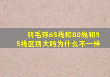 羽毛球65线和80线和95线区别大吗为什么不一样