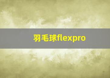 羽毛球flexpro