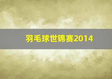 羽毛球世锦赛2014