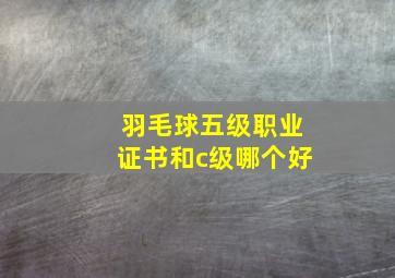 羽毛球五级职业证书和c级哪个好