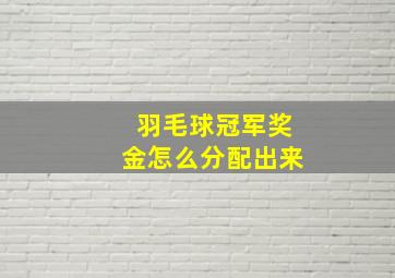 羽毛球冠军奖金怎么分配出来