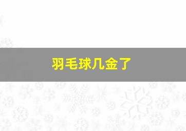 羽毛球几金了