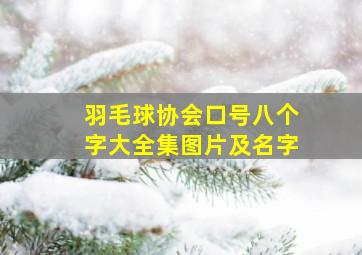 羽毛球协会口号八个字大全集图片及名字