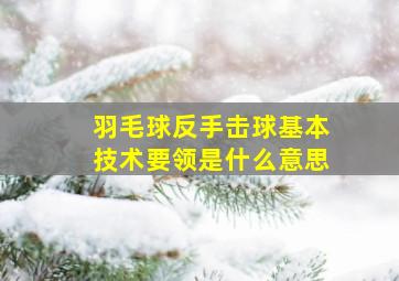 羽毛球反手击球基本技术要领是什么意思