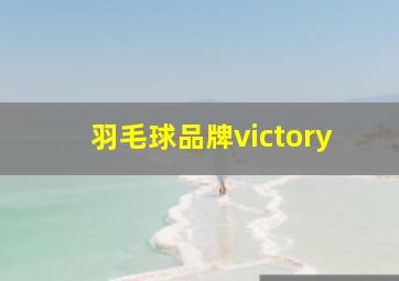 羽毛球品牌victory