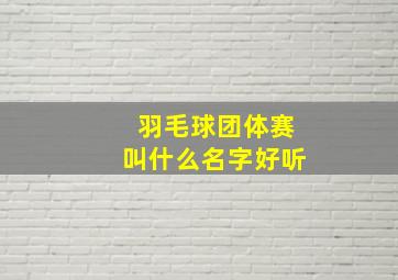 羽毛球团体赛叫什么名字好听