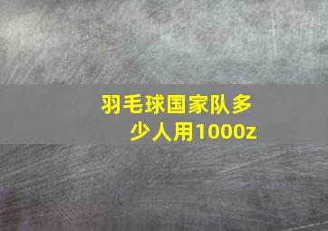 羽毛球国家队多少人用1000z